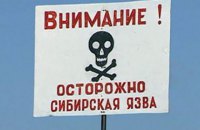 В Грузии женщина умерла от сибирской язвы