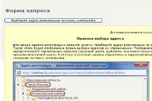 Российские избиратели смогут найти себя в интернете