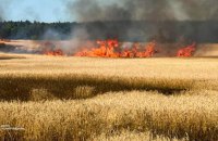 РФ атакувала Чернігівщину дронами: горіли пшеничне поле, будинки та вантажівка