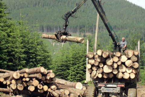 В Карпатах припиняється суцільна вирубка лісу, - голова Держлісагентства