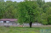 Цвіт Чернігівщини. Частина друга. Деокупований Седнів