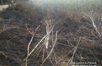 В Киевской области погибло два человека из-за возгорания сухостоя 