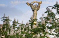 Спасти каштаны