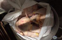 Полиция Киева выявила присвоение 5,6 млн гривен при поставках просроченных продуктов в детсады и школы