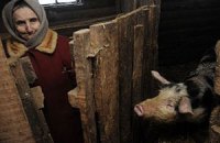 На западе Белоруссии в рамках учений сожгли свиней