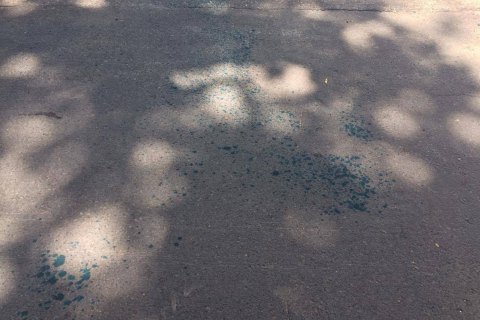 В Одессе судью облили зеленкой