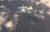 В Одессе судью облили зеленкой