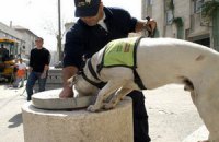 Израильтянин укусил полицейского пса