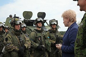 Литва намерена возобновить обязательный призыв