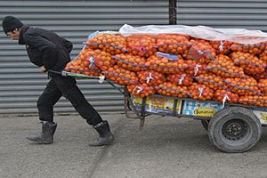 Абхазия резко сократила поставки мандаринов в Россию