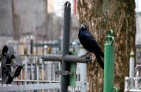 На Луганщине возбудили дело против осквернителей могил