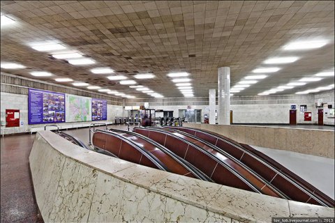 В киевском метро откроется фотовыставка про животных в АТО