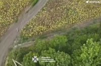 Троє чоловіків намагались втекти до Молдови соняшниковим полем