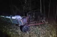 Троє чоловіків намагалися перевезти до Білорусі 800 кг сала на підводах