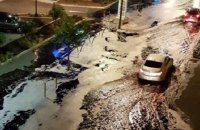 Во Франции неизвестные залили вином улицы города