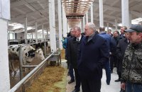 Лукашенко уволил губернатора Могилевской области из-за "обосранных" коров
