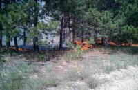 В Полтавской области за сутки выгорело более 38 га леса