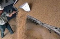 Запасы зерна в стране на треть больше прошлогодних