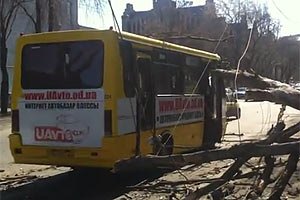 На Днепропетровщине дерево привалило маршрутку с людьми