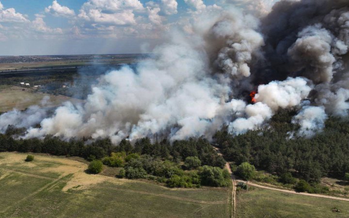 На Миколаївщині знову горить Андріївське лісове урочище, - ДСНС