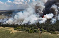 На Миколаївщині знову горить Андріївське лісове урочище, - ДСНС