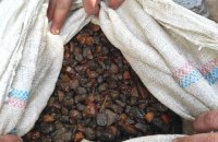 На Рівненщині поліцейські знайшли у чоловіка три мішки бурштину