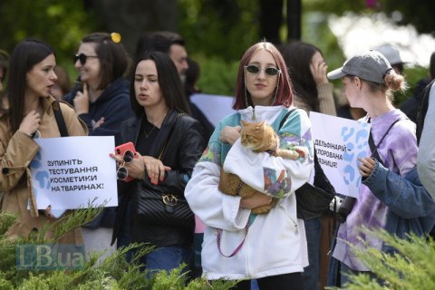В Харькове девятиклассница издевалась над котом, а ее подруга снимала это на телефон