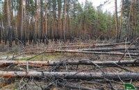 План Маршалла для харківських лісгоспів