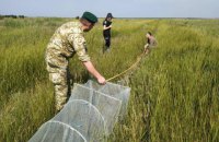 На Херсонщине разоблачили морского браконьера