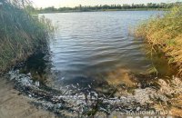 На Луганщине обнаружили массовый мор рыбы
