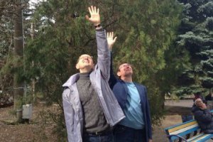 В понедельник Луценко и Яценюк снова попытаются встретиться с Тимошенко