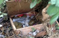 На свалке в центре Мариуполя обнаружили 3 гранатомета и 8 гранат