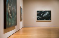 В MoMA заменили работы Пикассо и Матисса картинами художников из Ирана, Ирака и Судана