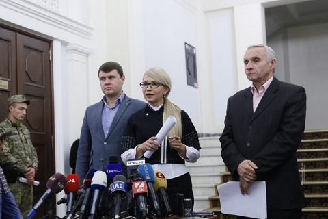 "Батькивщина" объявила о запуске антирейдерских земельных штабов