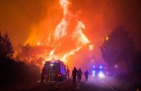 Масштабный лесной пожар начался в Португалии