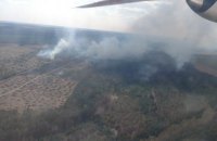 В Черниговской области пожарные весь день тушили горящий лес