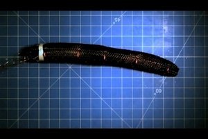 Американские ученые создали робота-червяка