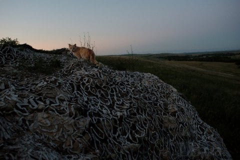 Окупанти шість разів відкривали вогонь на Донбасі