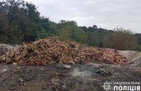 В Киевской области ветсанзавод обустроил нелегальный скотомогильник