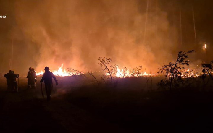На Донеччині рятувальники понад 10 годин гасили пожежу лісу, спричинену обстрілом