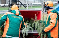 Новорічні ялинки в Києві можна буде здати з 4 січня