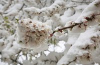 Харків засипало рекордною кількістю снігу
