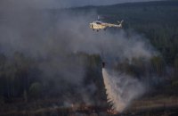 В Чернобыльской зоне горит лес