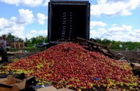 В России за два года уничтожили 17 тысяч тонн иностранных продуктов