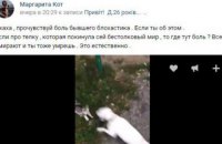17-річну харків'янку відправили під суд за відео з убивством кошеняти