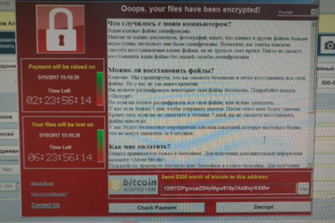 Вирусная атака вынудила Microsoft выпустить патч для Windows XP, которая не поддерживается с 2014 года