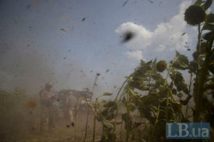 РНБО назвала найгарячішу точку в зоні АТО