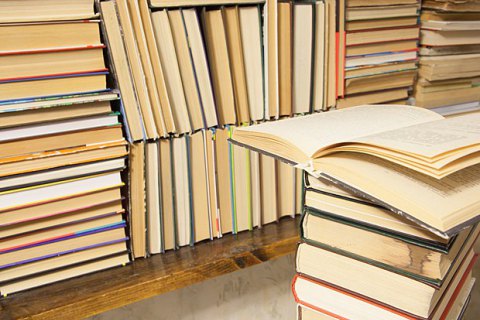 В Украину запретили ввоз российской книги по английскому языку из-за прославления Сталина