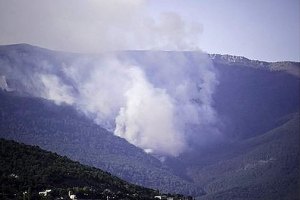 Крымские леса закрыли для посещения