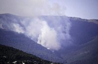 Крымские леса закрыли для посещения